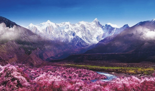 林芝桃花 林芝,藏语意指太阳升起的地方,地处海拔最低处.