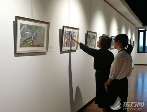 不搞庆典办书画摄影展 上海最年轻的市级开发