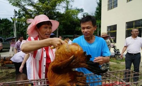 图为山地村民展示农产品。