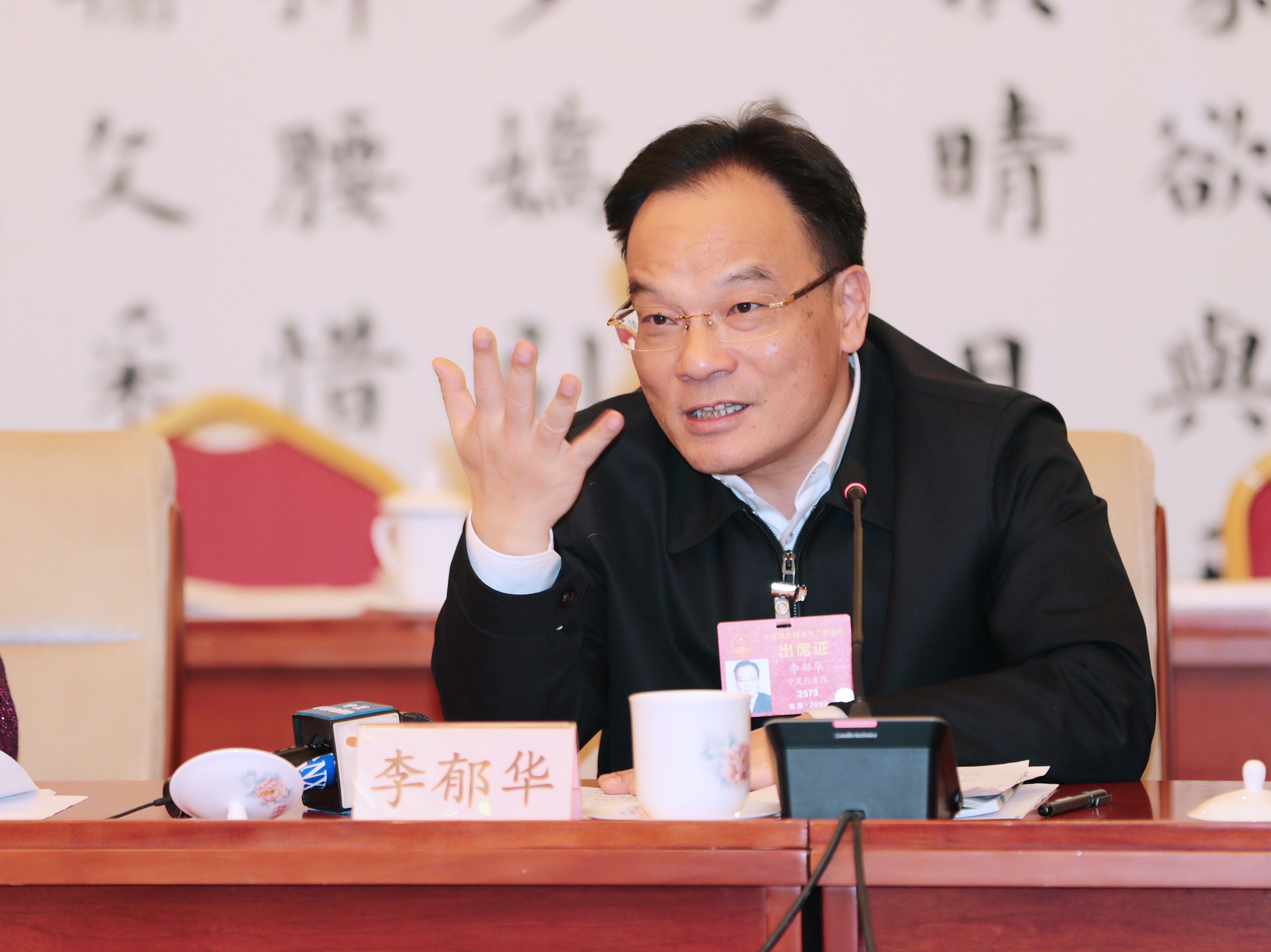 全国人大代表,宁夏石嘴山市市长李郁华在讨论《外商投资法》(草案)时