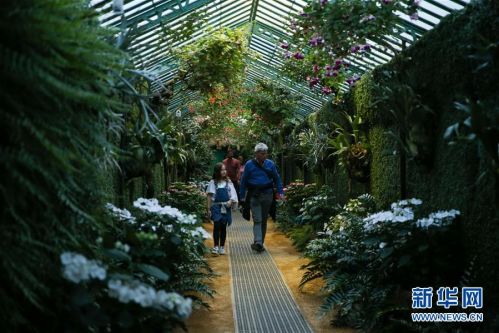 世界园林巡礼--比利时皇家温室_摄影_聚焦东方