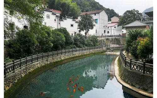 擦亮生态环境底色,奏响治水最强音:金华婺城再获浙江“五水共治”大禹鼎 擦亮生态环境底色,奏响治水最强音:金华婺城再获浙江“五水共治”大禹鼎