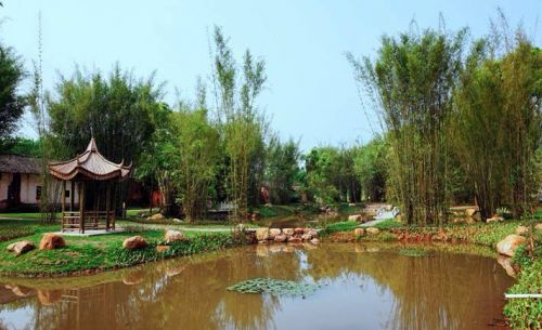 丰源村原本的竹林泥地变成小公园