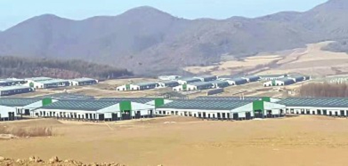 汪清吉天然农牧科技开发有限公司肉牛养殖扶贫基地项目建设现场
