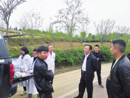  县委书记魏在平在兴隆村了解欧标茶园建设情况