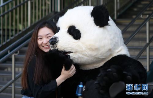(国际)(3)中国花灯将登陆纽约花旗球场 点亮纽约新年
