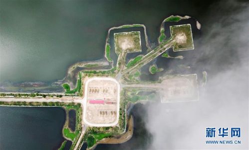 (图文互动)(14)当好标杆旗帜 建设百年油田——写在大庆油田发现60周年之际