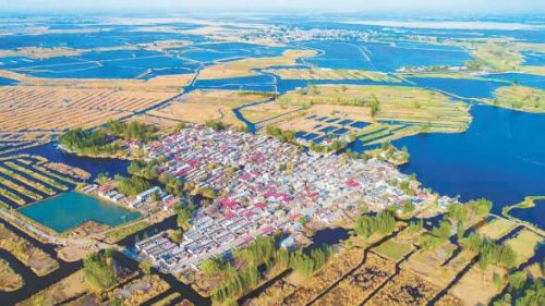 雄安新区退耕还淀还湿工程开工