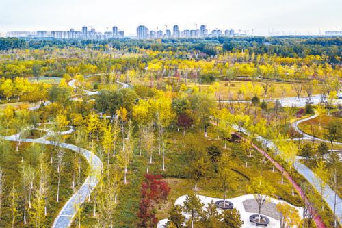 “副中心速度”构建快速便捷交通体系