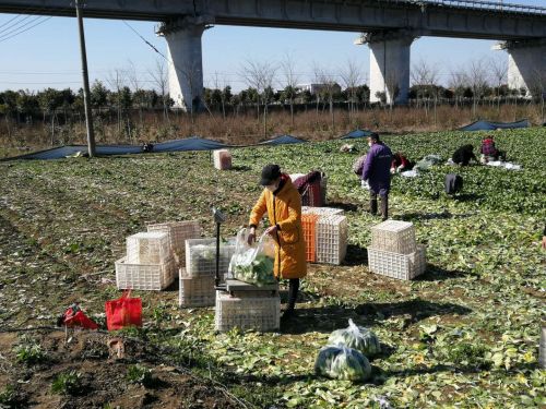 微信图片_20200302215158