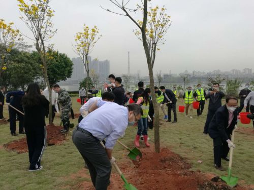 荔湾区委书记陈小华（照片中穿白衣者）挥锹植树