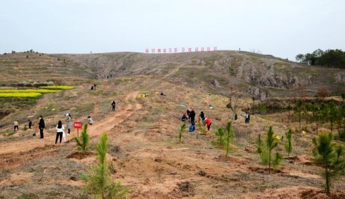 360截图20200316214525991