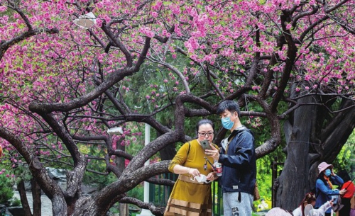  疫情影响下，短途周边游将暂时主导休闲旅游市场。图为北京中山公园一隅。  中国经济导报记者  苗露/摄