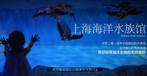 28.0上海海洋水族馆