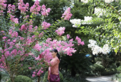 喜迎“双节”，这里的空气有点甜，这里的花儿特别美~