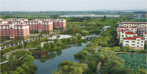 示范村张家楼街道大泥沟头村