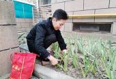 以花为媒促进和谐共治 奉贤区旺苑社区里的“小花园”