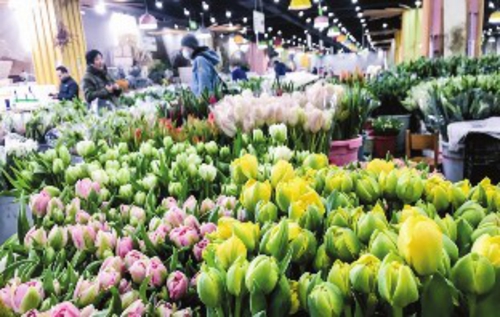 ⑦大年初四，北京东风国际花卉市场一景。薛歌/摄