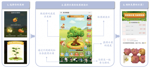 ▲“多多果园”成功将游戏娱乐与扶贫助农相结合，用户通过社交互动的方式培育虚拟果树，可以免费收到一份由拼多多送出的扶贫助农水果。