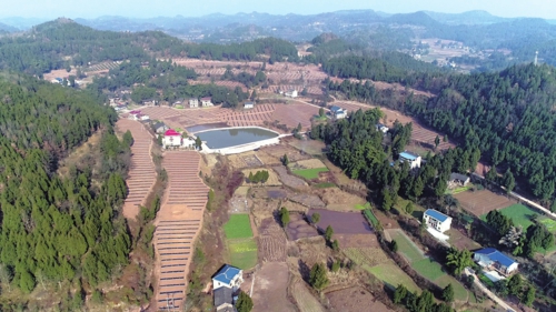 四川省南部县坡改梯建设后面貌。农业农村部/供图