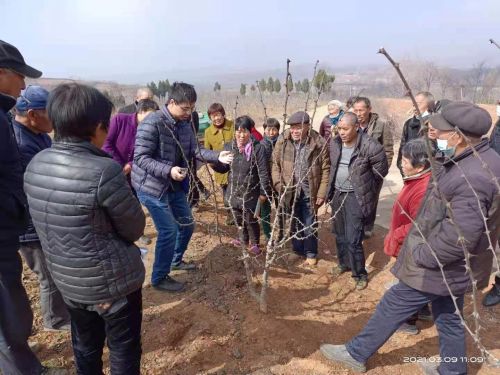 田间地头教授技艺 周智伟拍摄