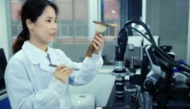 中國熱科院海南培訓食用菌栽培人才
