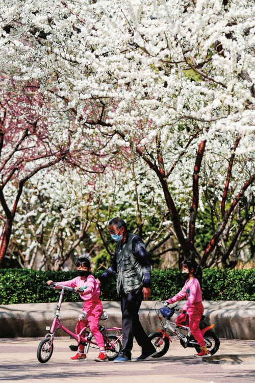 5路途经北京白纸坊，这里有一条北京营城建都滨水绿道，春天百花盛开，景色怡人。