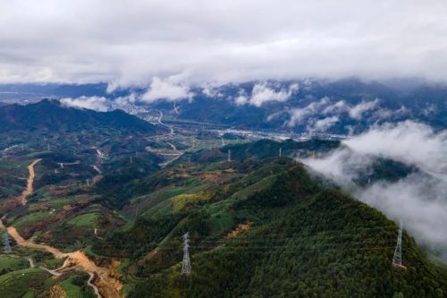 “莲城雾峰”茶叶种植基地