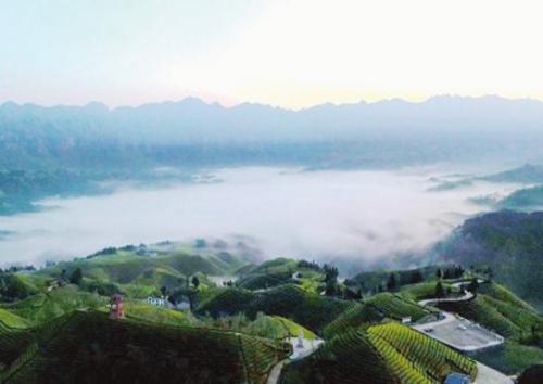  湖北鹤峰县木耳山晨景。向申荣/摄