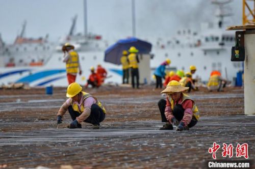 图为在海口新海港客运综合枢纽项目工地，工人们正在加紧施工。　骆云飞 摄