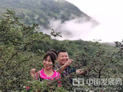 云南3