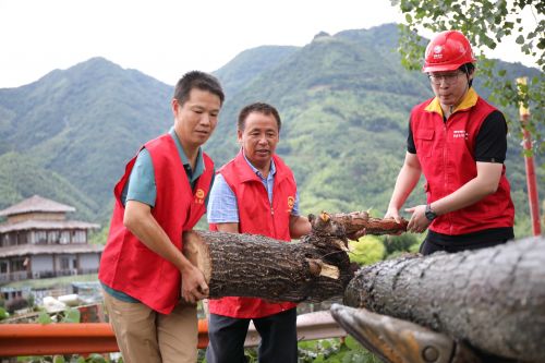 桐庐县党员志愿者参与抗击“烟花”