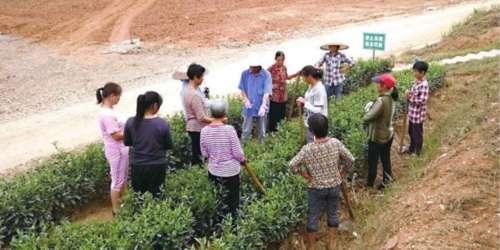  采用“培训+上岗”的方式对参与务工的劳动力有针对性地开展实训和以工代训。国家发展改革委振兴司/供图