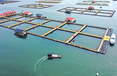  碧海蓝天富宁德        近年来，福建省宁德市创新海洋环境综合治理新模式，探索出一条产业发展与生态保护协同并进新路，这方面的“宁德经验”，也成为全国水产养殖高质量发展绿色典型案例。图为宁德三都澳大黄鱼养殖区。新华社