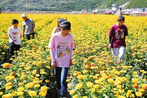  走进乡村看小康--全域旅游加速共同富裕    甘肃省甘南藏族自治州卓尼县木耳镇力赛村是当地小有名气的全域旅游标杆村。近年来，力赛村打造特色乡村旅游品牌，让群众增收的同时，为乡村振兴注入活力。图为几名游客在力赛村的花海游览。    新华社