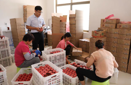 酒台村支部书记王云龙在查看工人包装辣椒酱情况。摄影：赵洁