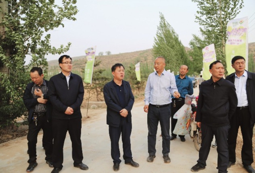 静乐县委副书记、县长宣文晓（左三）实地督查特色产业发展。