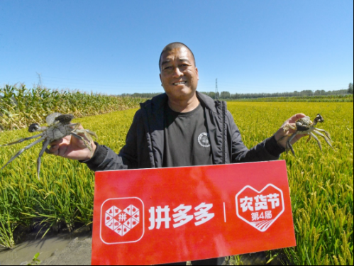 尤洋的大米厂与大洼区多个街道的数百名农户，签订订单农业，助力农户增收。沈晓凯 摄    

