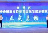 上海奉贤““三个一百亿”行动擦亮“国字号”名片”