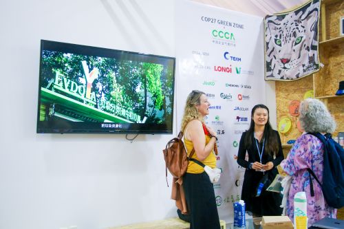 多位C位青年的项目在COP27绿区以视频形式轮番播放，吸引了现场观众驻足观看