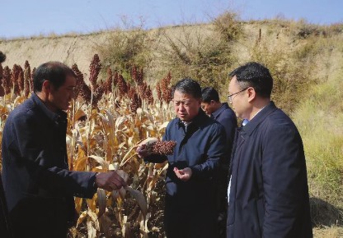  静乐县委书记宣文晓（左二）在段家寨乡调研村集体经济产业项目。