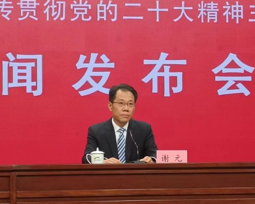 天津市东丽区区委书记谢元在新闻发布会上