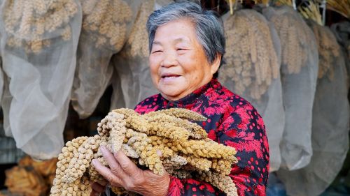 ▲   “庆祝中华人民共和国成立70周年”纪念章获得者陈瑛。郭佳｜摄