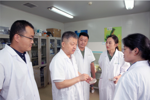 中国农业大学王琦教授现场指导样品试制