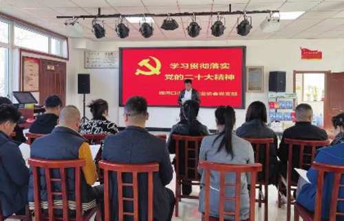 梅河口市小微企业协会党支部学习贯彻落实党的二十大精神。