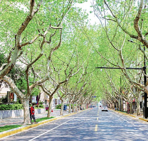 新华路历史风貌保护区街景。