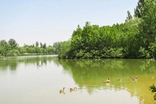 翠湖湿地公园