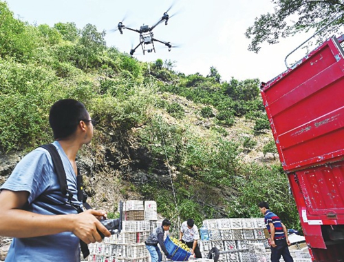  三峡库区湖北省宜昌市秭归县是柑橘种植大县，全县柑橘种植面积约40万亩，年产柑橘超100是秭归县夏季柑橘的收获时节。图为8月10日，技术人员在秭归县泄滩乡坊家山村帮当地村民转运柑橘。万吨。眼下，正    新华社