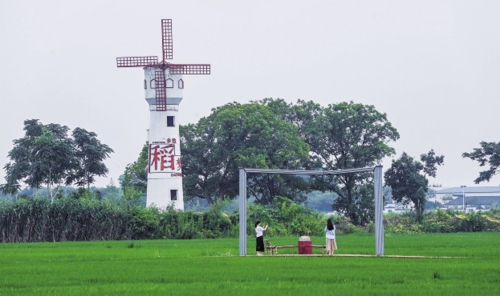  浙江省湖州市自今年6月起推出6条湖州文旅亚运主题线路，串联当地优质景区景点，展示湖州市丰富的山水人文胜景及文旅新业态、新场景，引领亚运观光旅游新风尚。图为游客在湖州市吴兴区东林镇东华村游玩。新华社