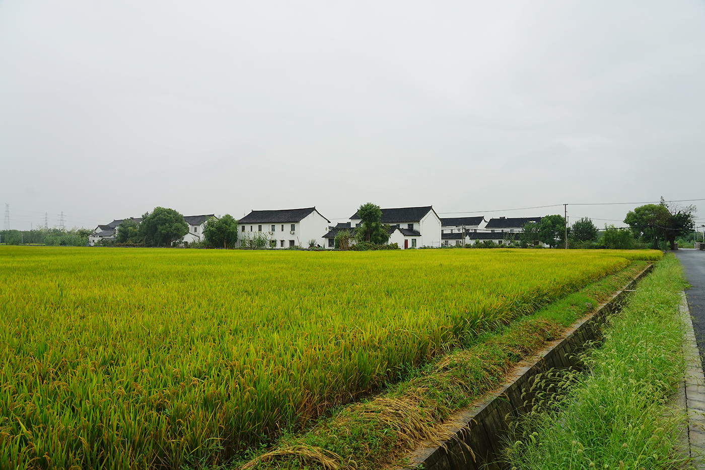 庄行郊野公园